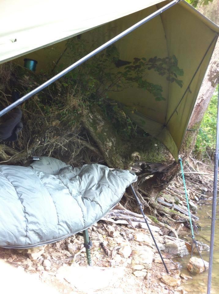 foto bune. - 15976414624211970447589844651n.jpg